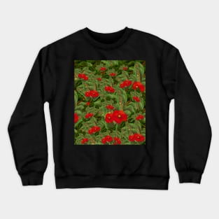 Poppy Crewneck Sweatshirt